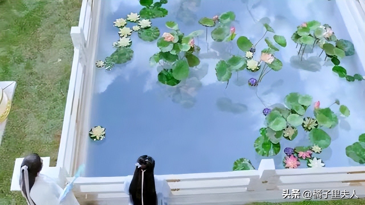 三生缘起256·东华帝君究竟是天蝎座还是摩羯座？