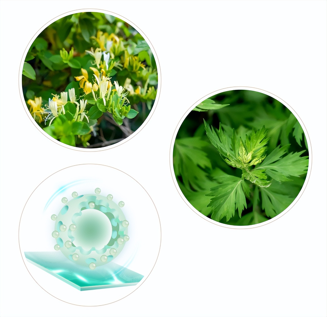 莫干山抗病毒生态板价格,莫干山抗菌抗病毒生态板测甲醛