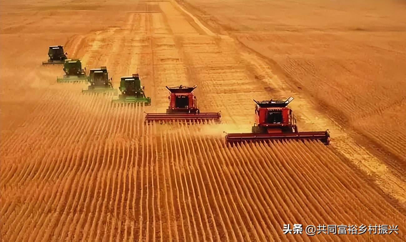 世界十大最顶尖的农产品强国,世界十大新型农业产品