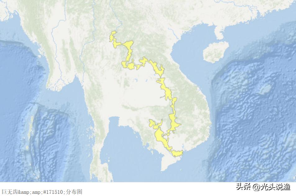 邓刚盘老板合集,邓刚盘老板的视频