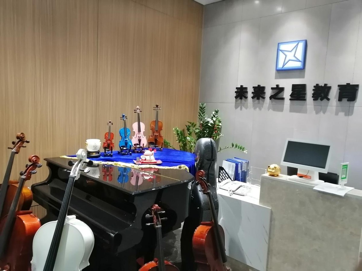 报考小提琴培训机构填什么,想学小提琴零基础开始从哪学