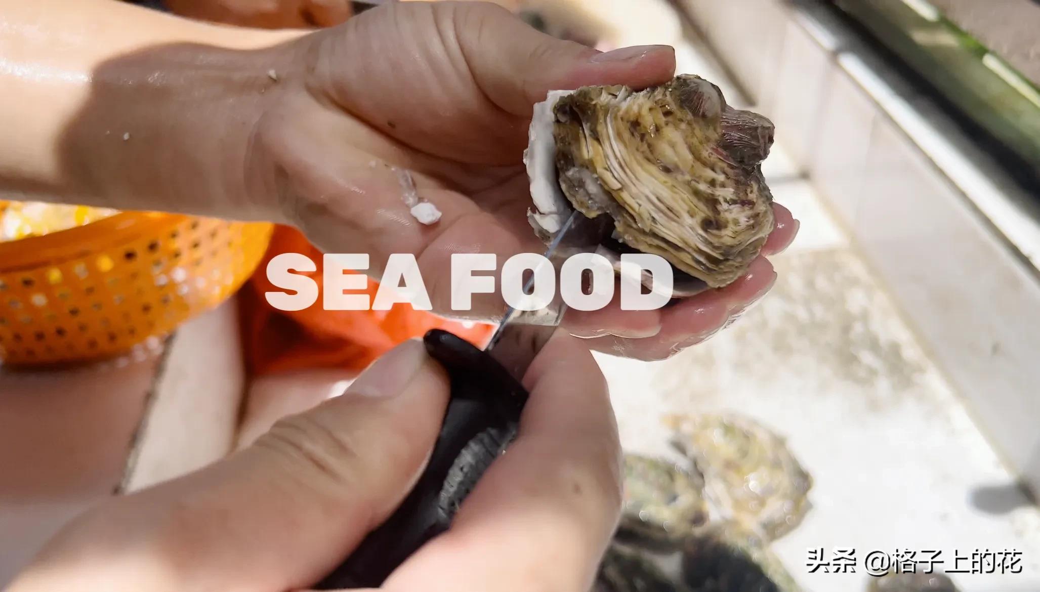 惠州怎么坐船出海旅游,惠州坐船上岛游玩攻略