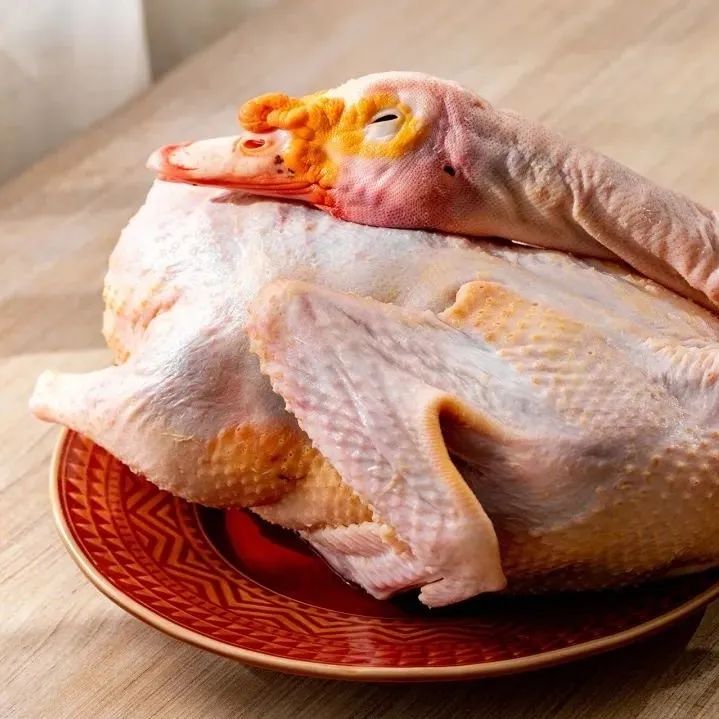 阳转阴后切记做的十件事,阳了转阴不要受凉的句子