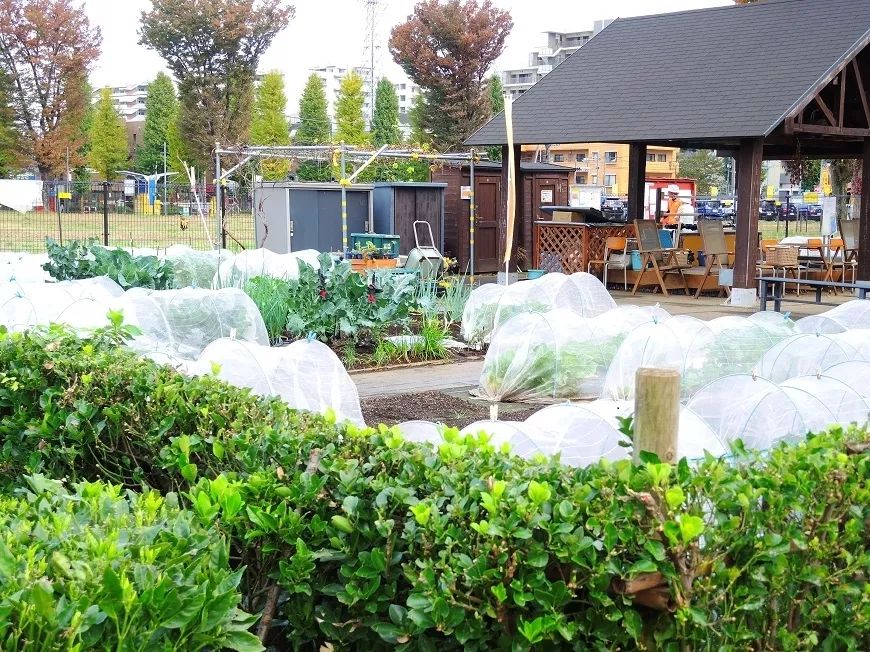 日本老人公寓养老,日本养老公寓出售