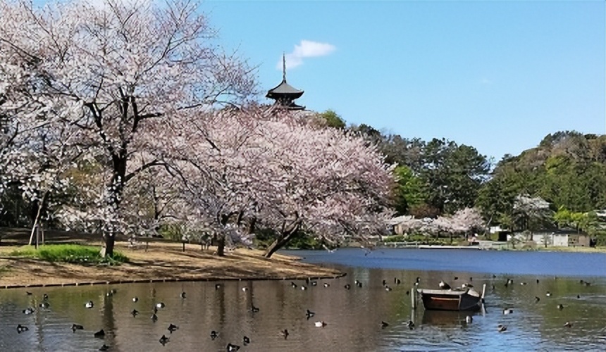 活用「MinatoBurariTicketWide」畅游横滨！7大景点美食全整理！