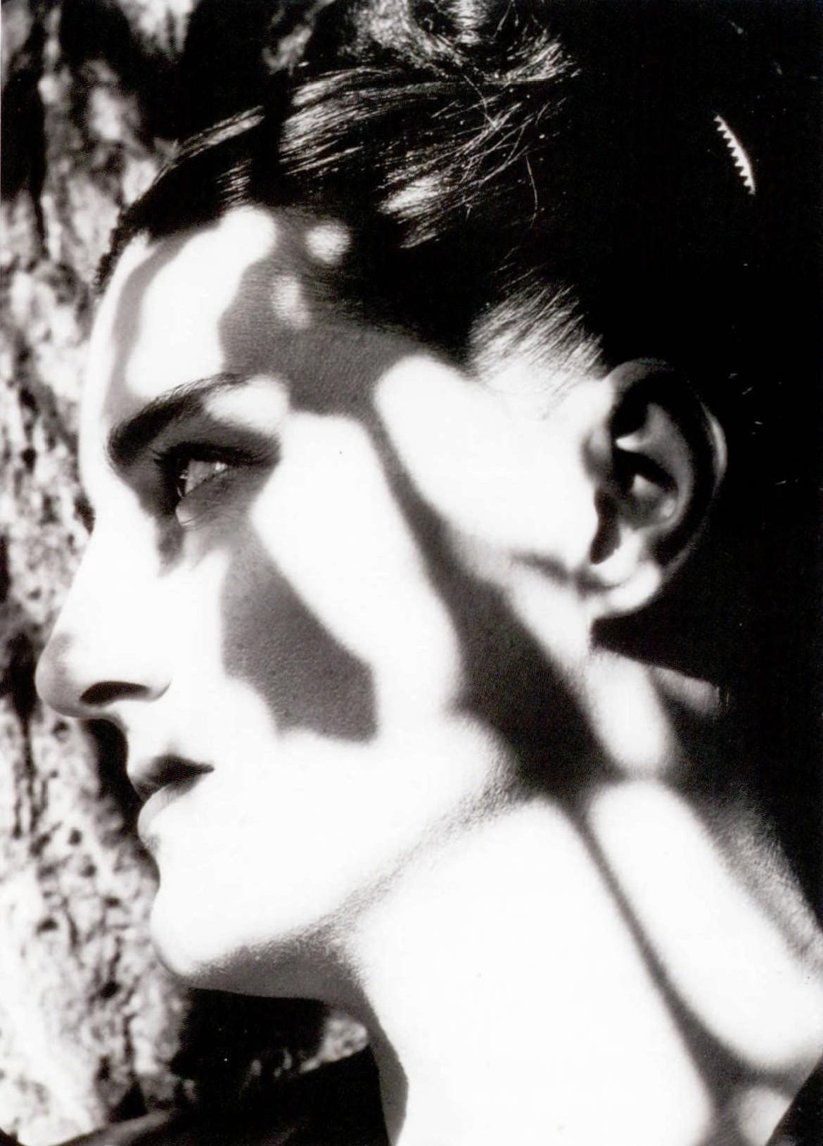 哈里卡拉汉摄影作品,哈里卡拉汉摄影