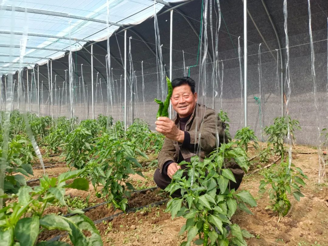 临朐县九山镇：“九”久为功“山”乡蝶变（朱林明）