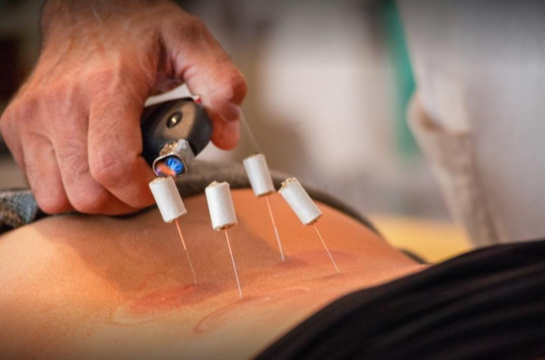 法国的国宝级老中医,中医药治老狗