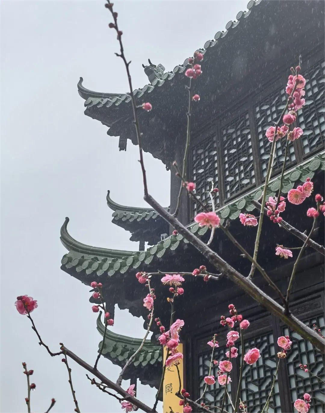 睡过这家国宾馆的新楼，我们全家都愁了……