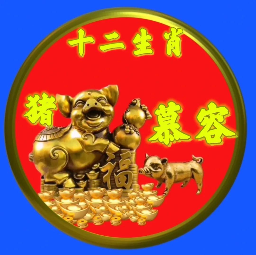 12生肖猪的姓氏头像,十二生肖猪姓氏头像壁纸