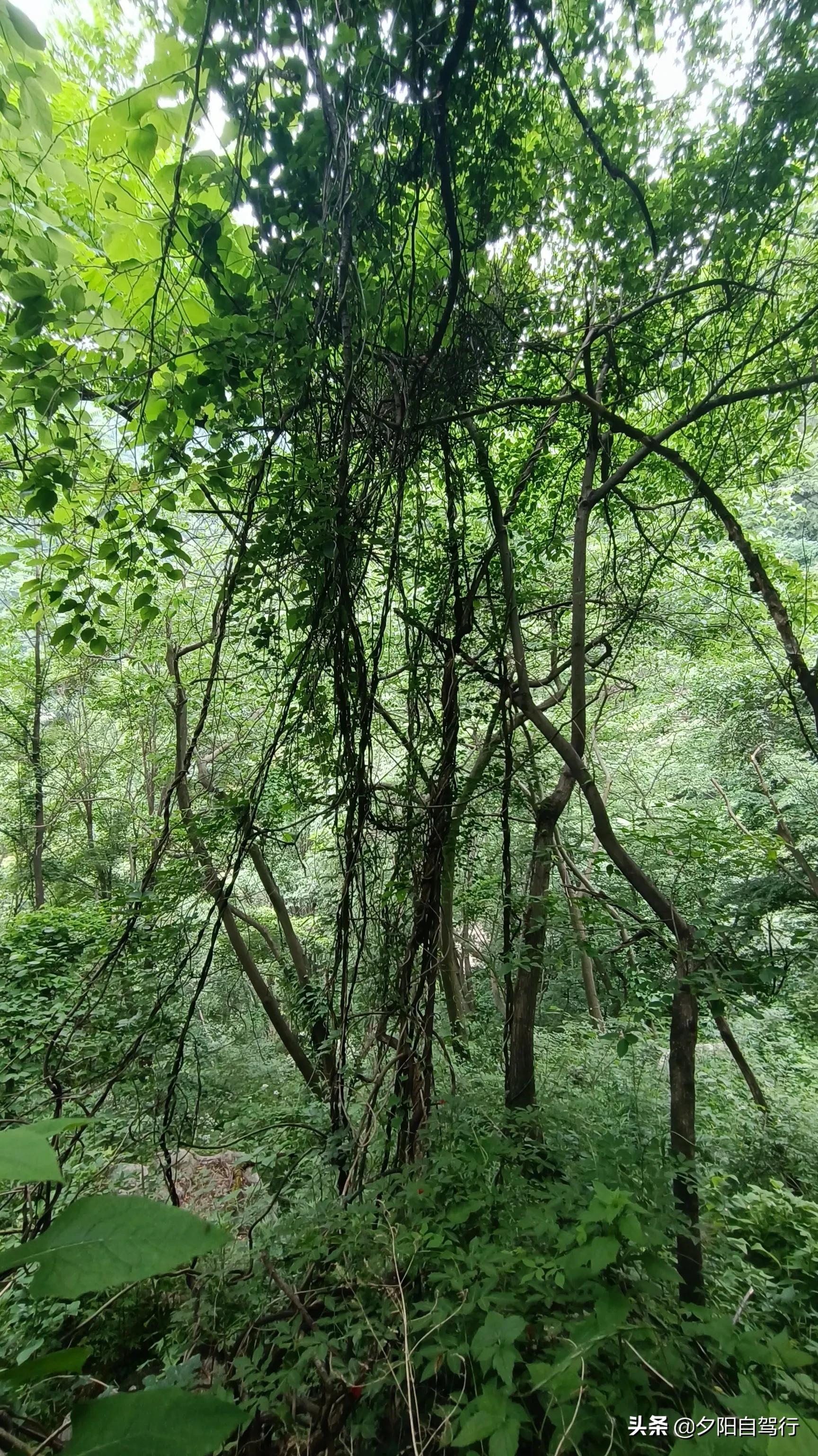 端午节合浦一日游必去景点,端午三日游贵州旅游攻略