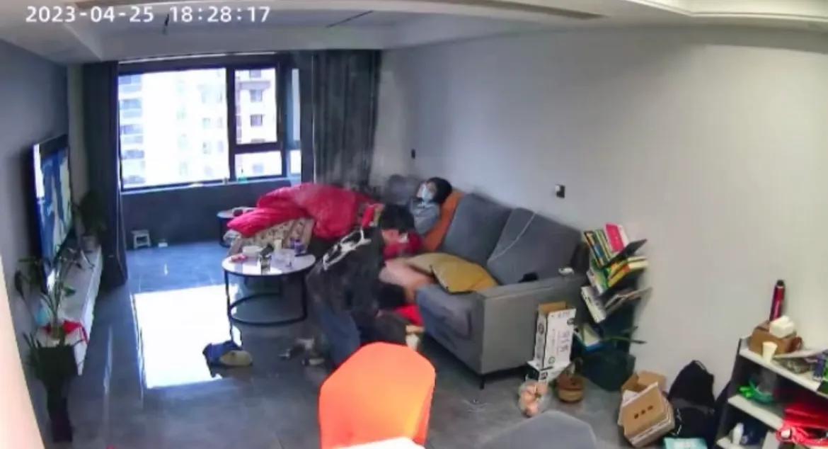 哥俩在客厅大打出手，父母淡定看电视，网友：家长在培养武林高手