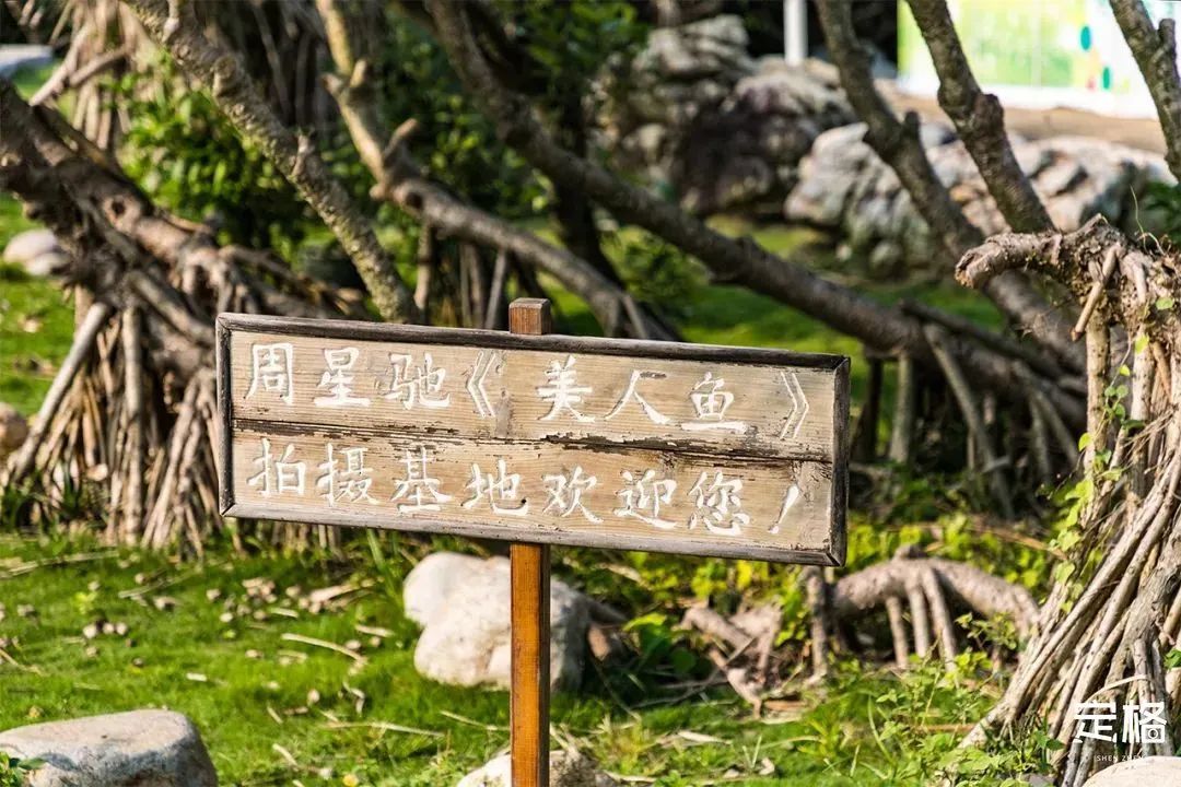 深圳10条海岸线,深圳十大凶险海岸线