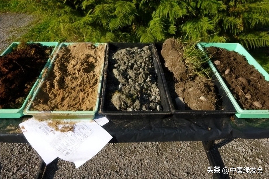 竭尽所能改善土壤|绿会国际讯