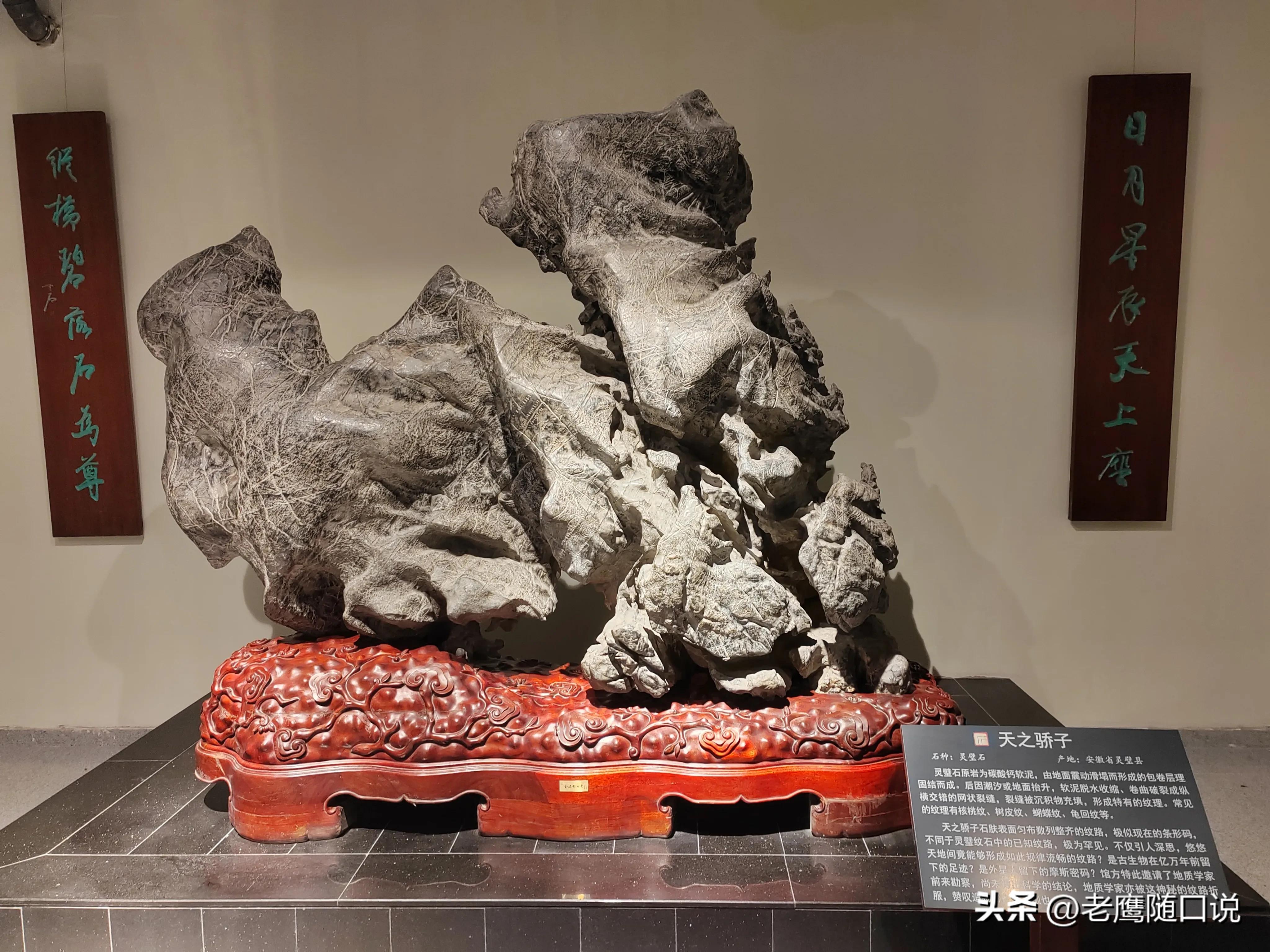 参观青岛博物馆,参观青岛葡萄酒博物馆感受