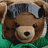 可爱的动物表情包画像,动物表情包猫猫