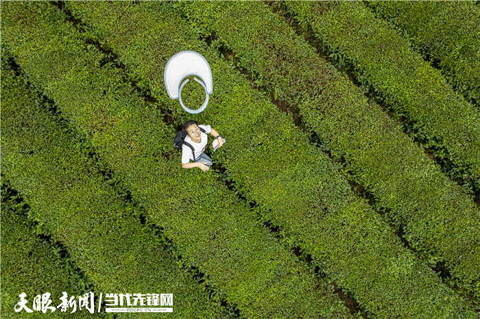 湄潭县美丽乡村建设标准化,湄潭美丽乡村