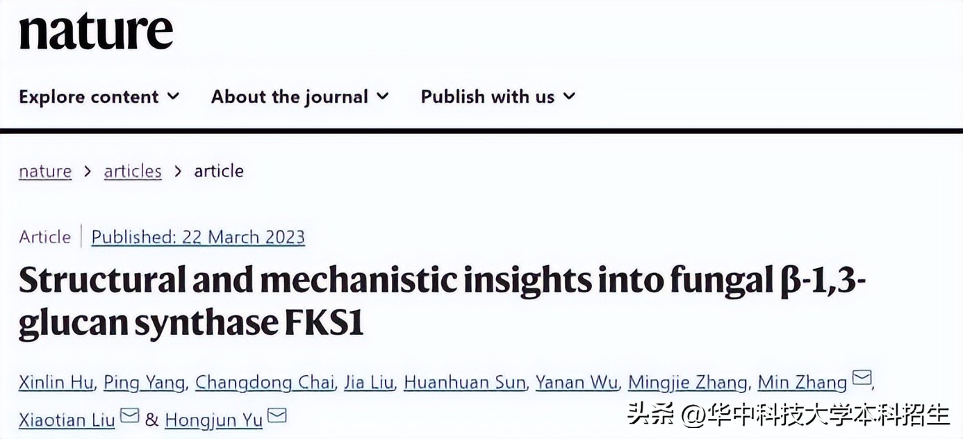 侵袭性真菌感染死亡率,全球侵袭性真菌感染
