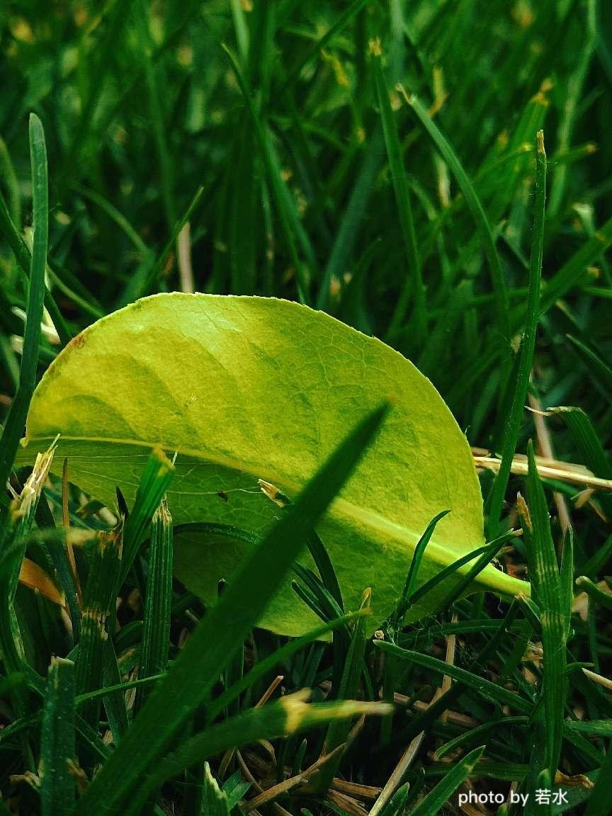 手机拍照的一些小技巧,手机拍照的3个小技巧很实用