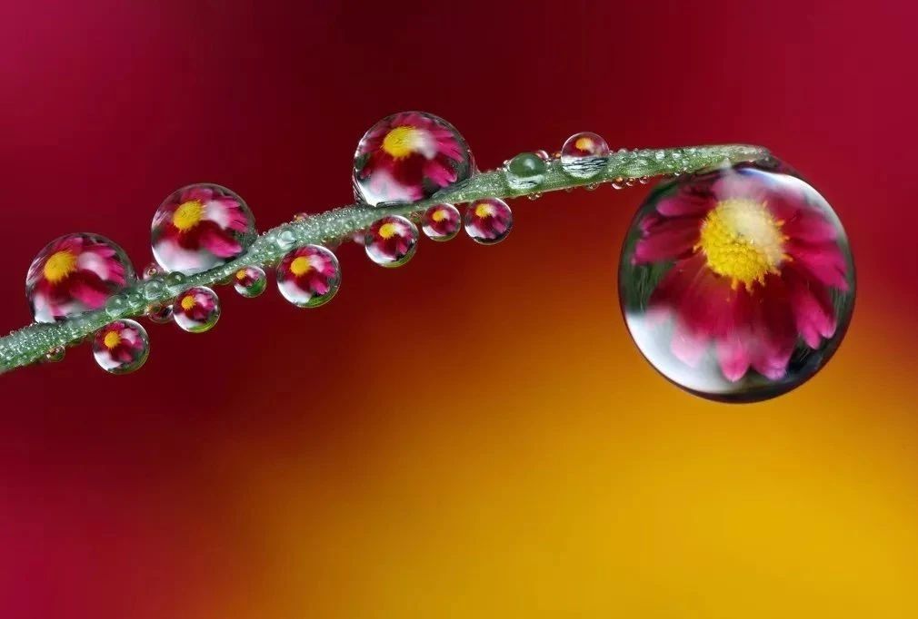 100首关于春的古诗词美到令人窒息,关于描写春的经典古诗词