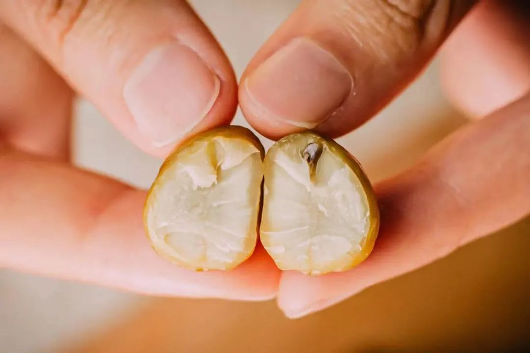 全国哪个地方的毛栗子最好吃,南京毛栗子