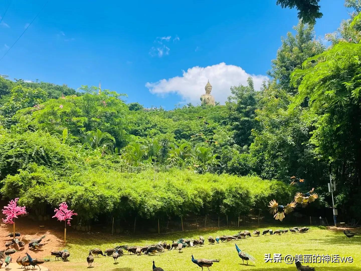 乡村风情生活小情调,乡村情调风景