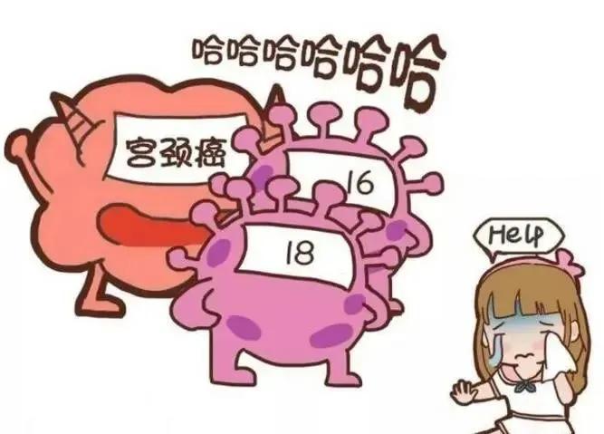 感染HPV=宫颈癌？