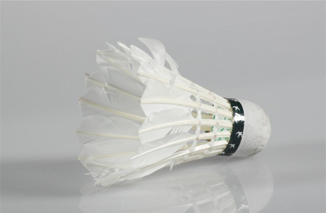 无为羽绒羽毛产业园2021,无为市羽毛羽绒行业协会