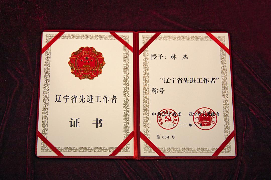 辽宁肿瘤医院林杰医生,辽宁肿瘤医院林杰