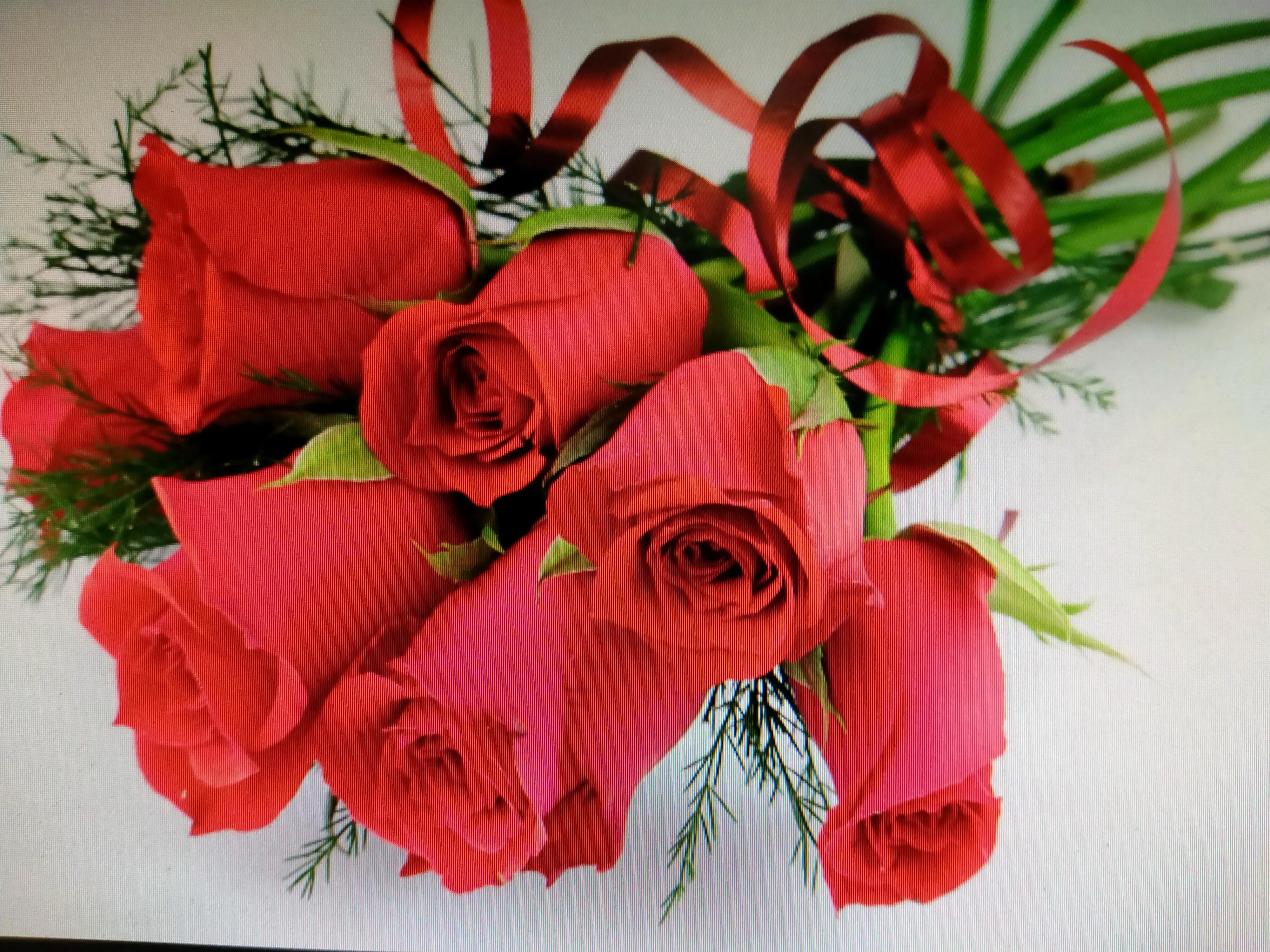 关于红玫瑰的搞笑说说,红玫瑰经典语录短句