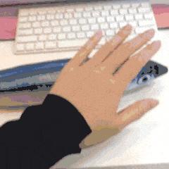 玩飞机杯就是不正经？