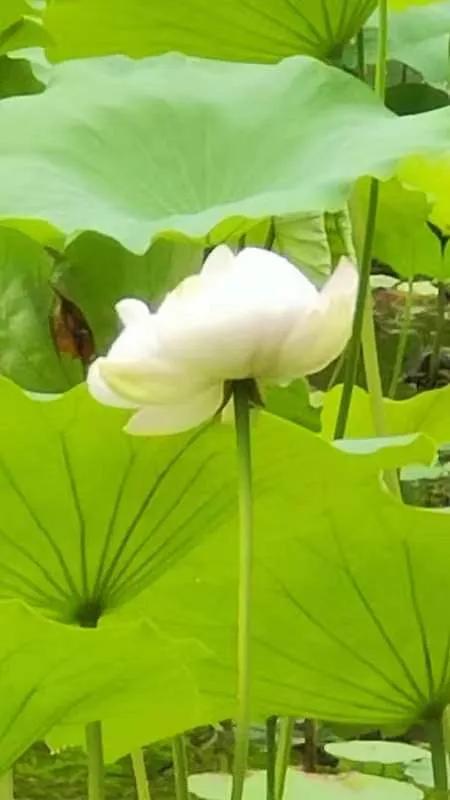 投资理财最好的机会,投资理财中活得好才是王道