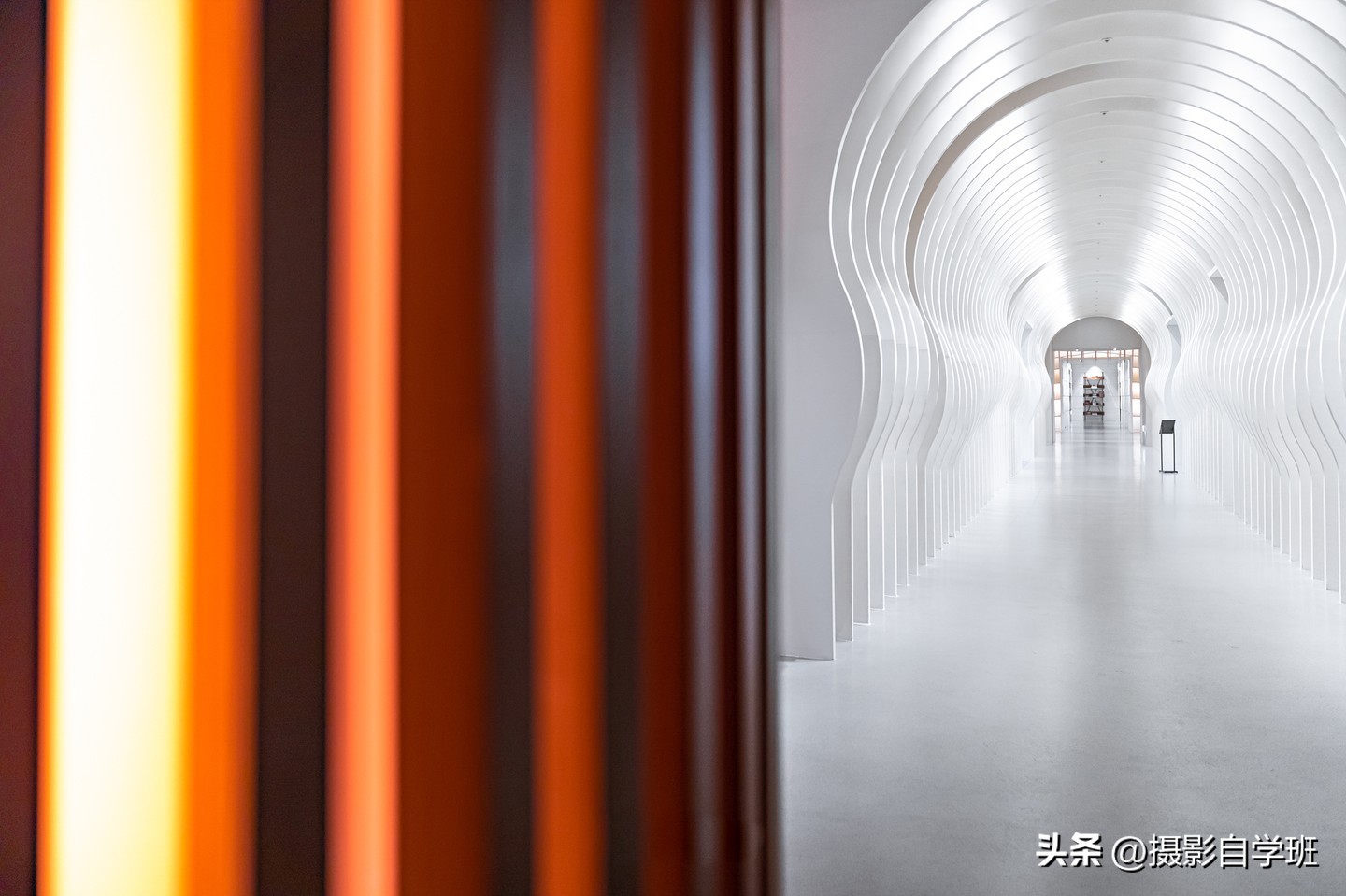 手机摄影实用摄影技巧,手机摄影最新拍摄小技巧热门作品