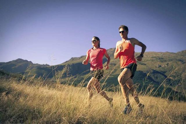 心率越慢寿命越长是真的吗,心率快与心率慢对人的寿命影响