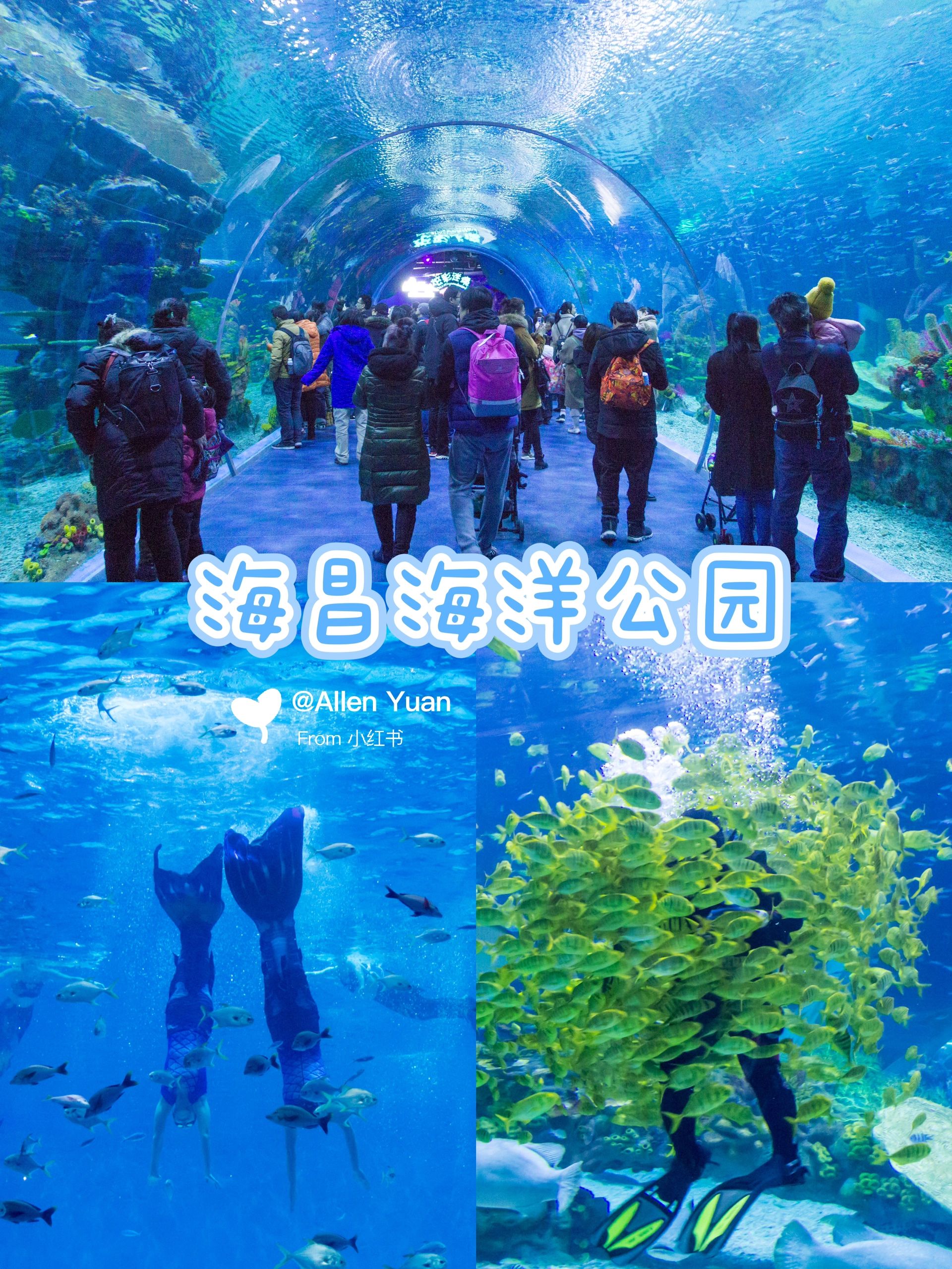 上海旅游攻略7大必去景点,上海旅游攻略必去的10大景点