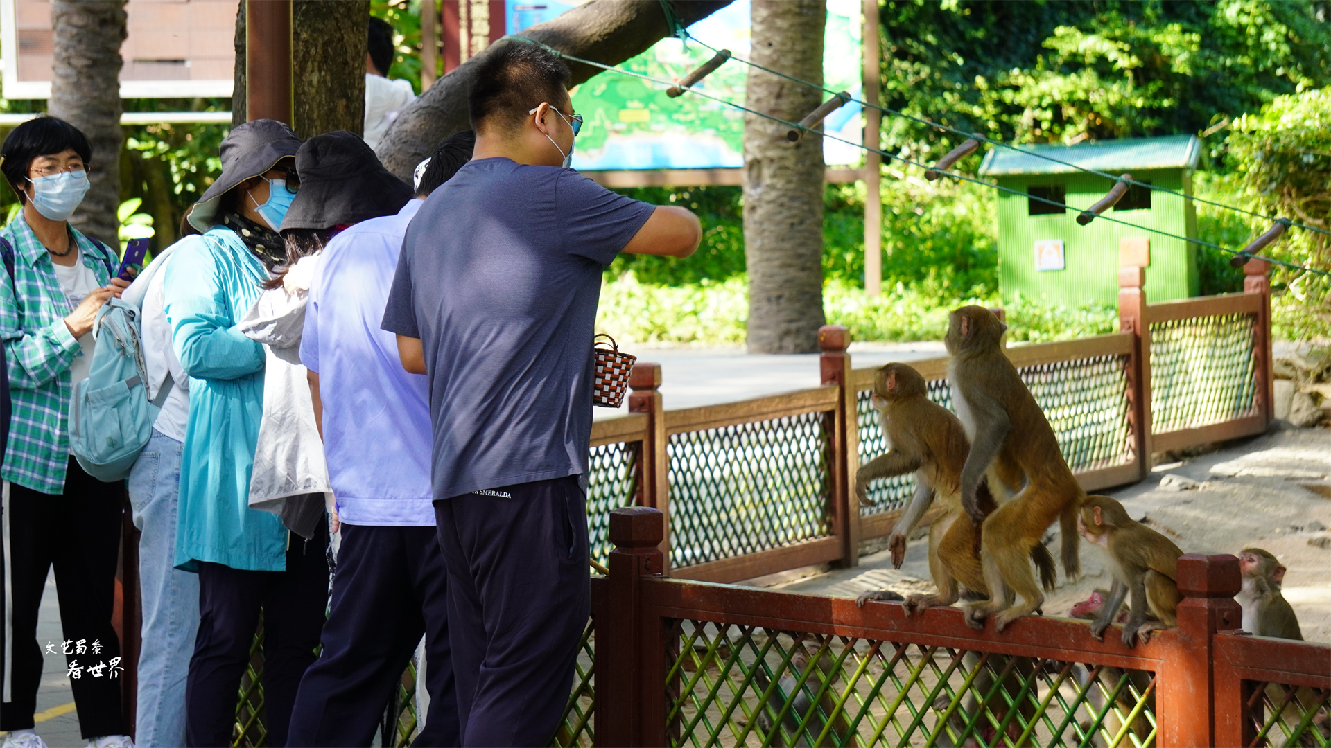 三亚猴岛的猕猴的禁闭室,海南猴岛禁闭室