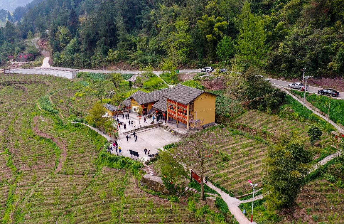 关于农村改革的最新政策,农村改革新政策2020年