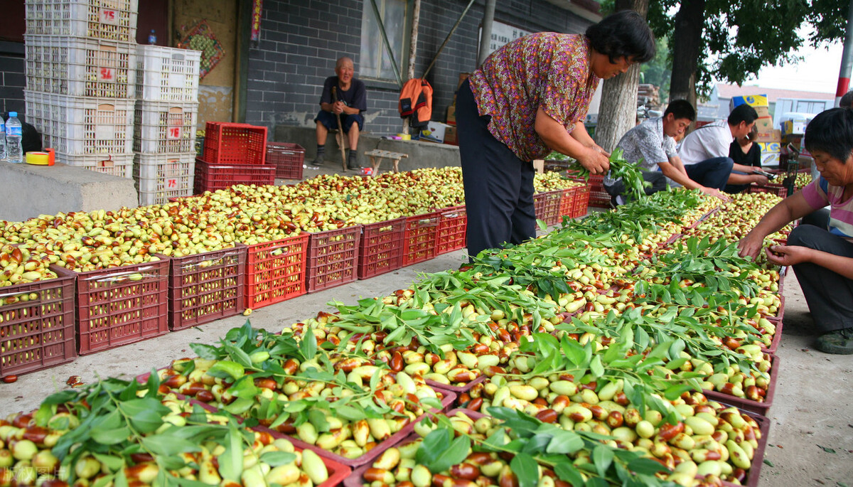 勤劳就能致富的时代已经过去,勤劳致富真的过时了吗