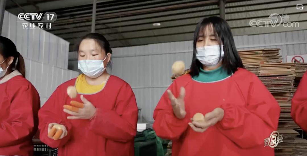 5万只鸡蛋一年能赚多少钱,一年卖1000万个鸡蛋