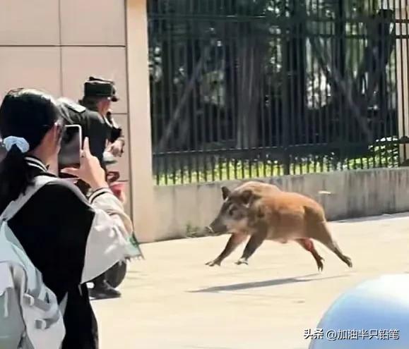 小区保安保证业主安全,小区保安有义务保护业主安全吗