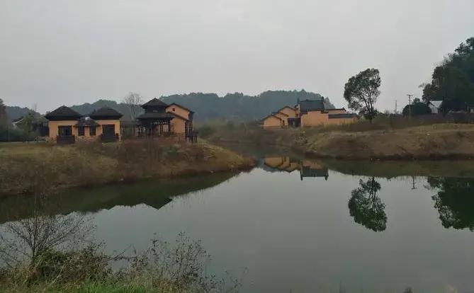 宁乡桃林镇,长沙市道林镇