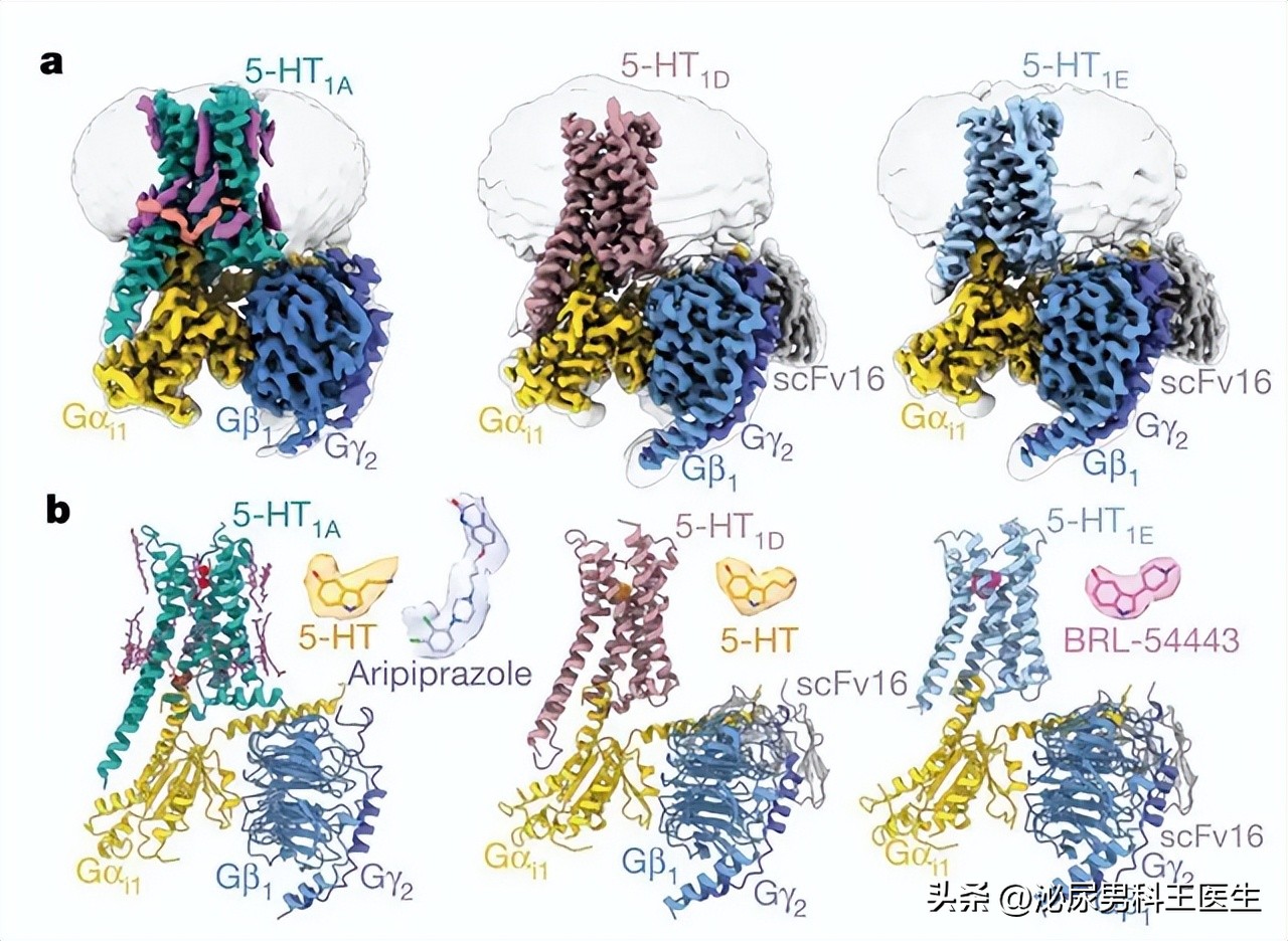 第一次服用达泊西汀注意这5点,初次吃达泊西汀多大剂量合适