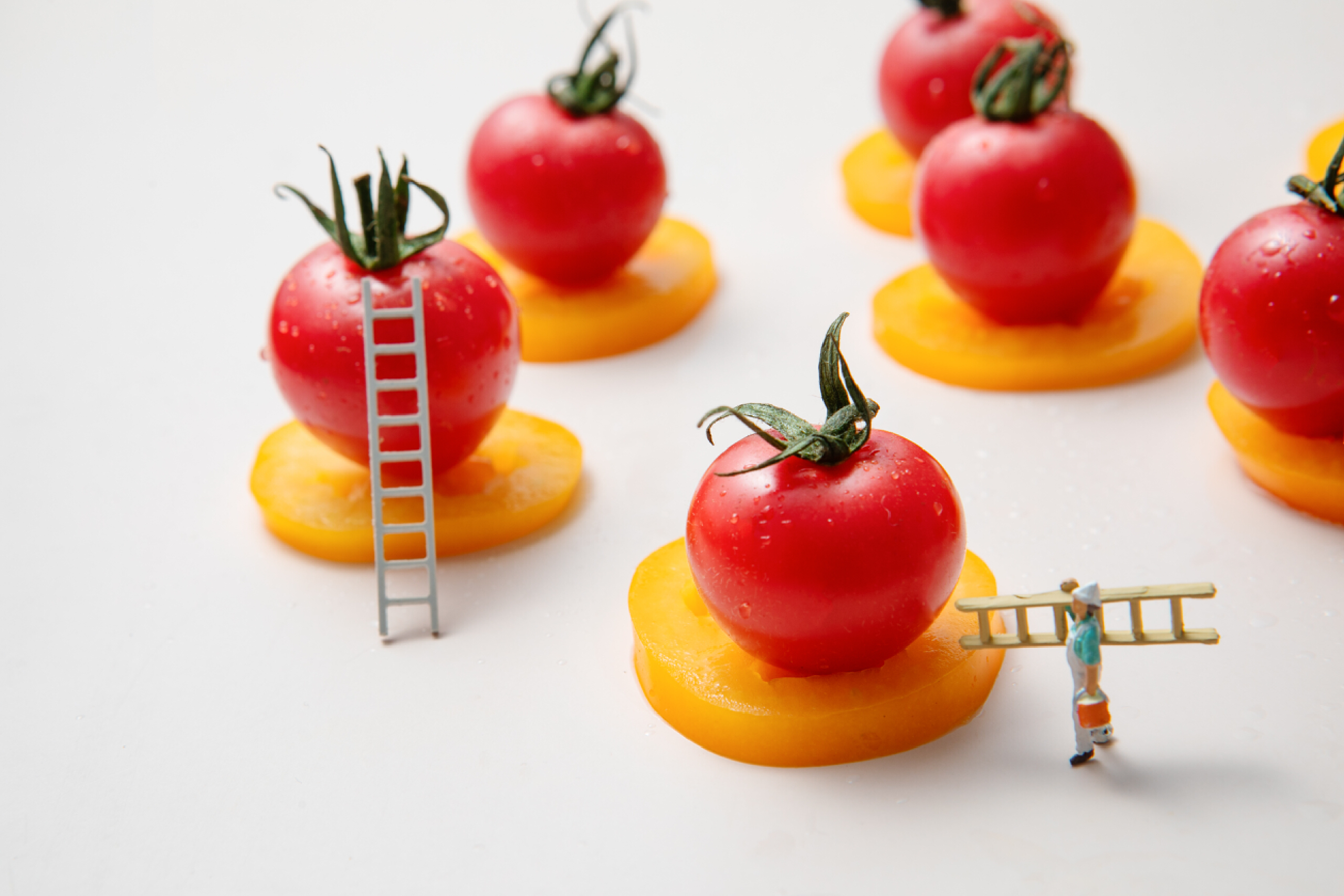 What？当下年轻人的错觉？社牛达人本质竟是隐形“社恐“？