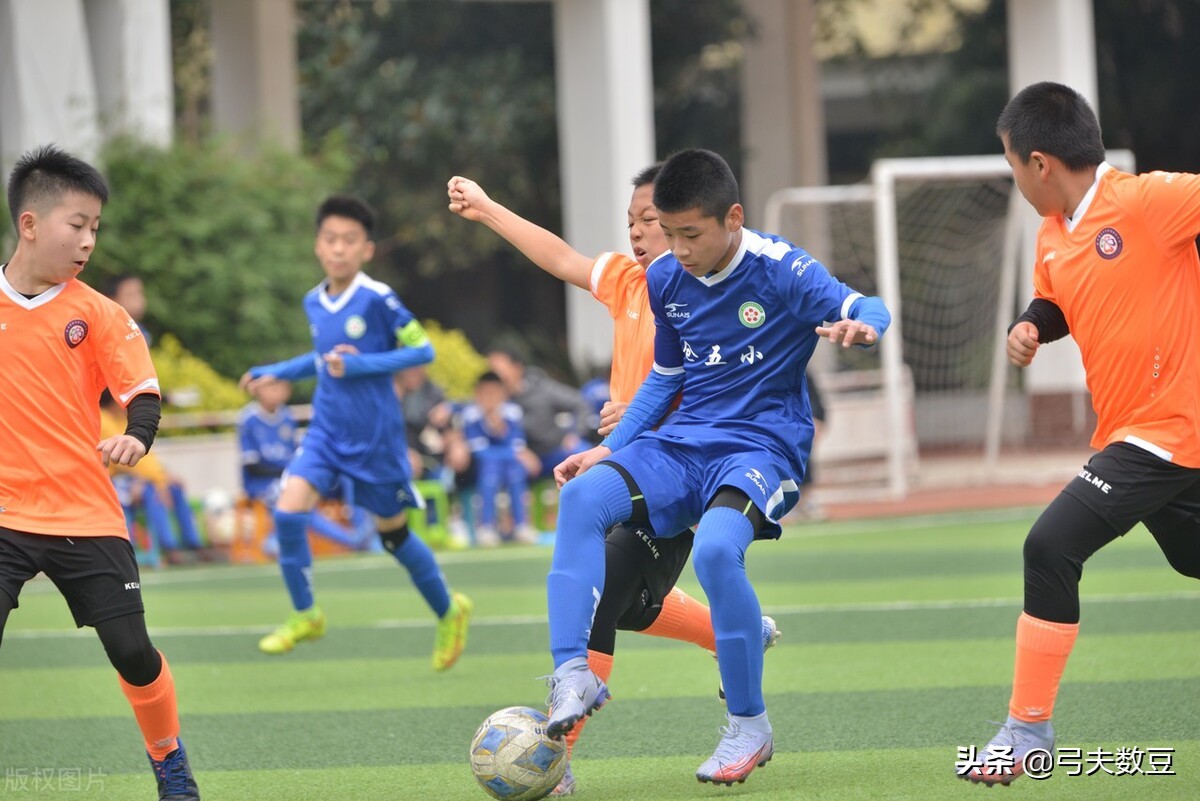 清华教授谈中国足球,大学生对对中国足球表现的看法