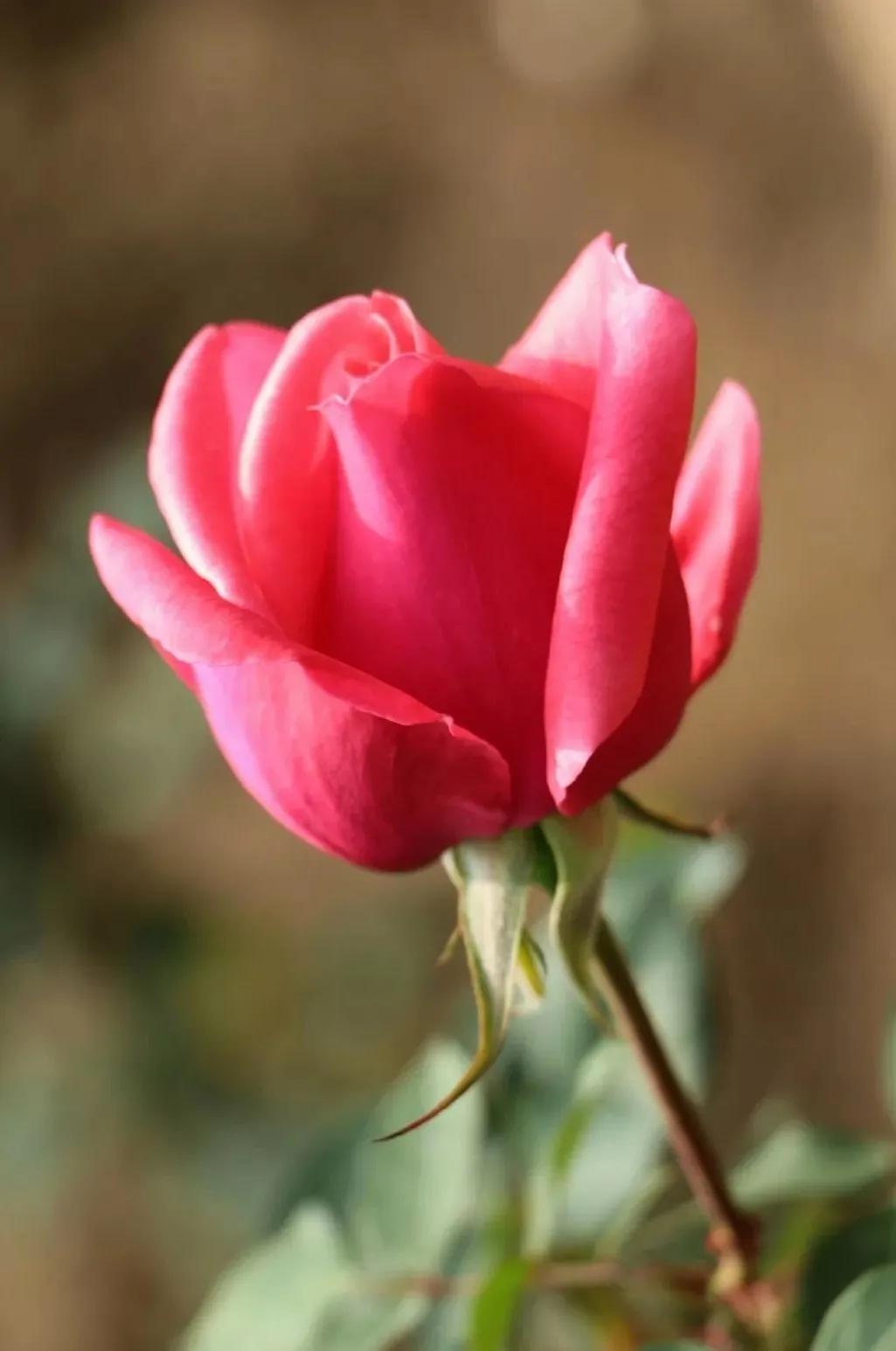 等待我的人是否还坐在窗前原唱,等待韩磊