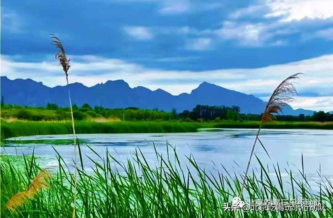 国内葡萄主题公园,德霖生态葡萄主题公园