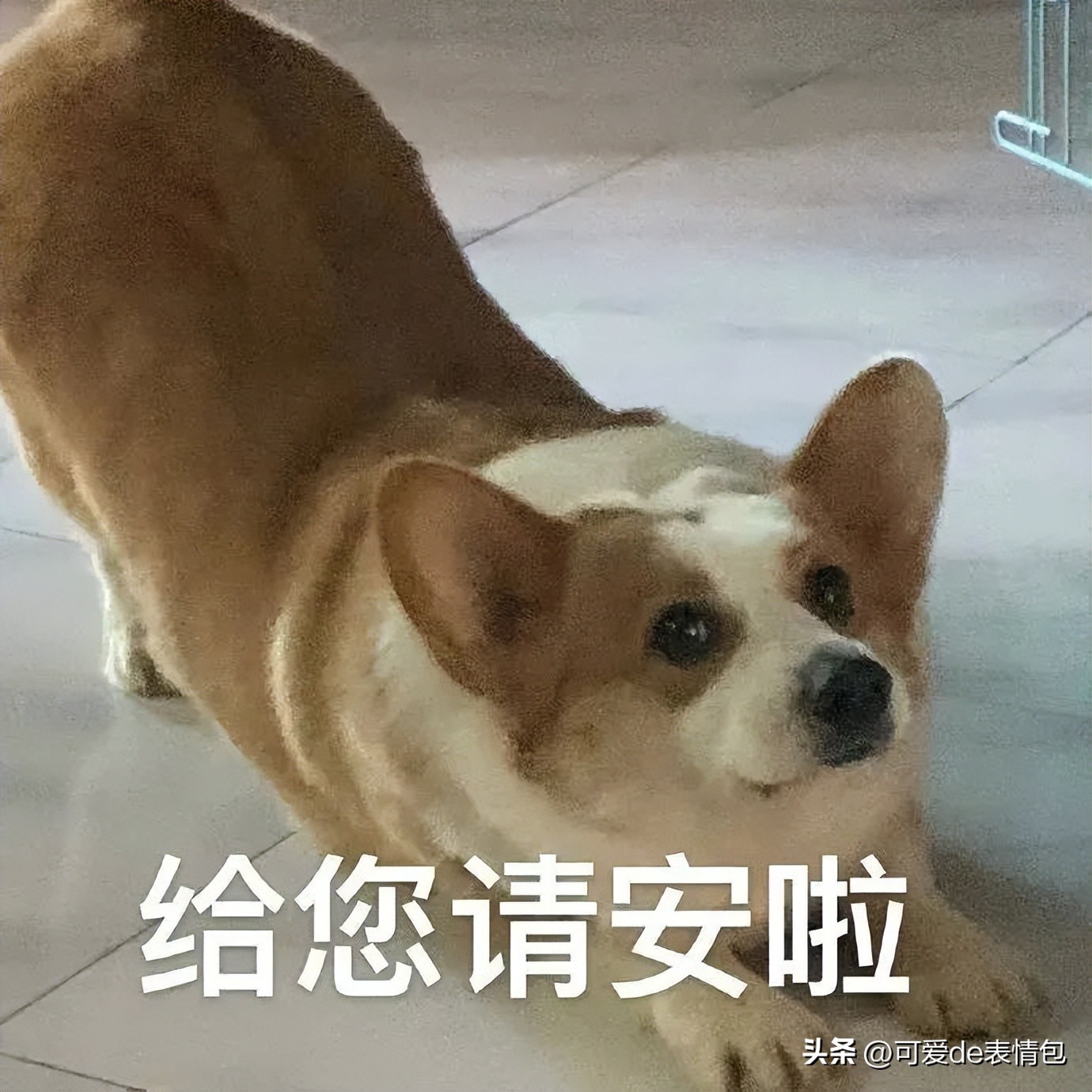 抖音黑人老嫂子搞笑表情包合集