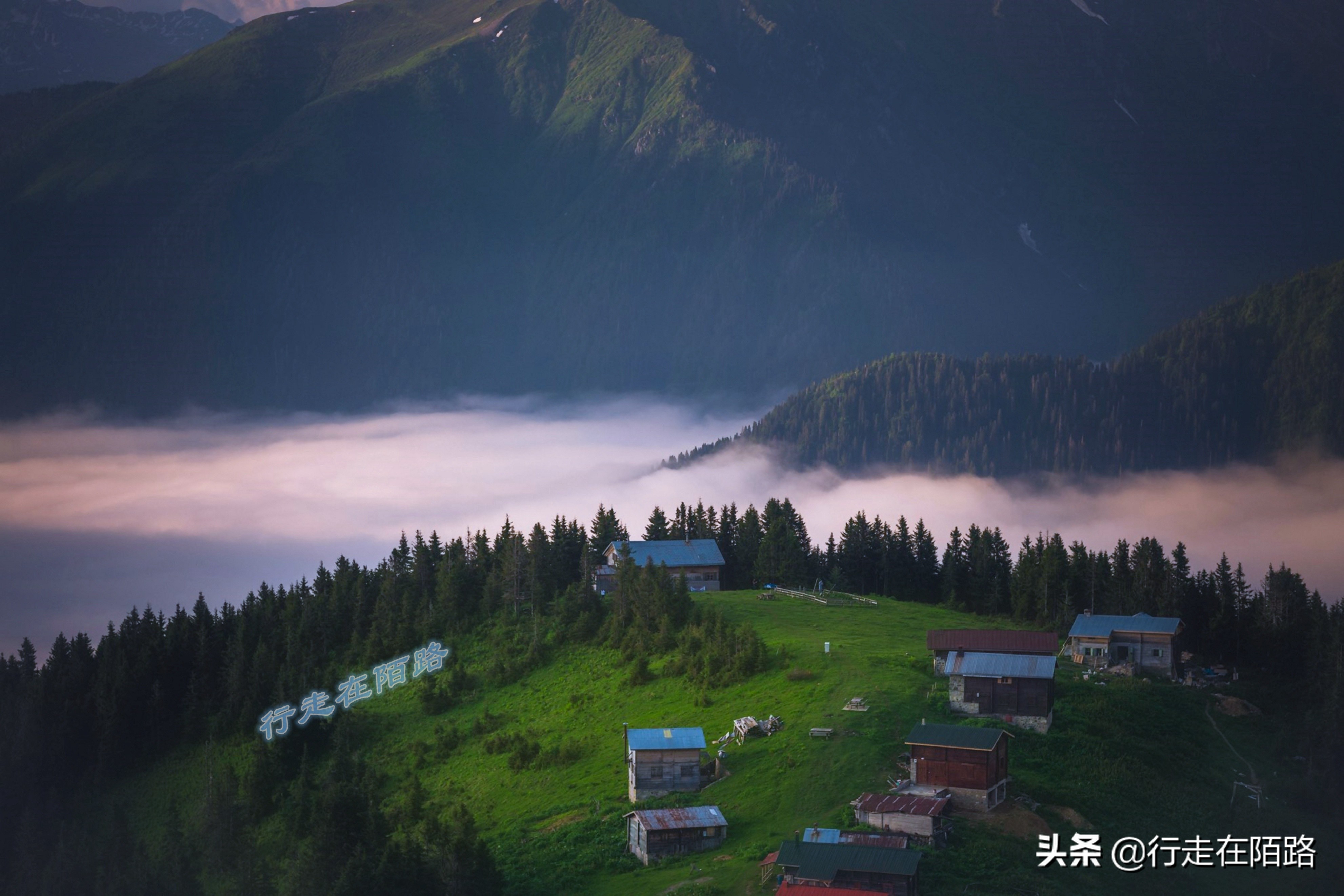 土耳其人茶文化,土耳其中文向导