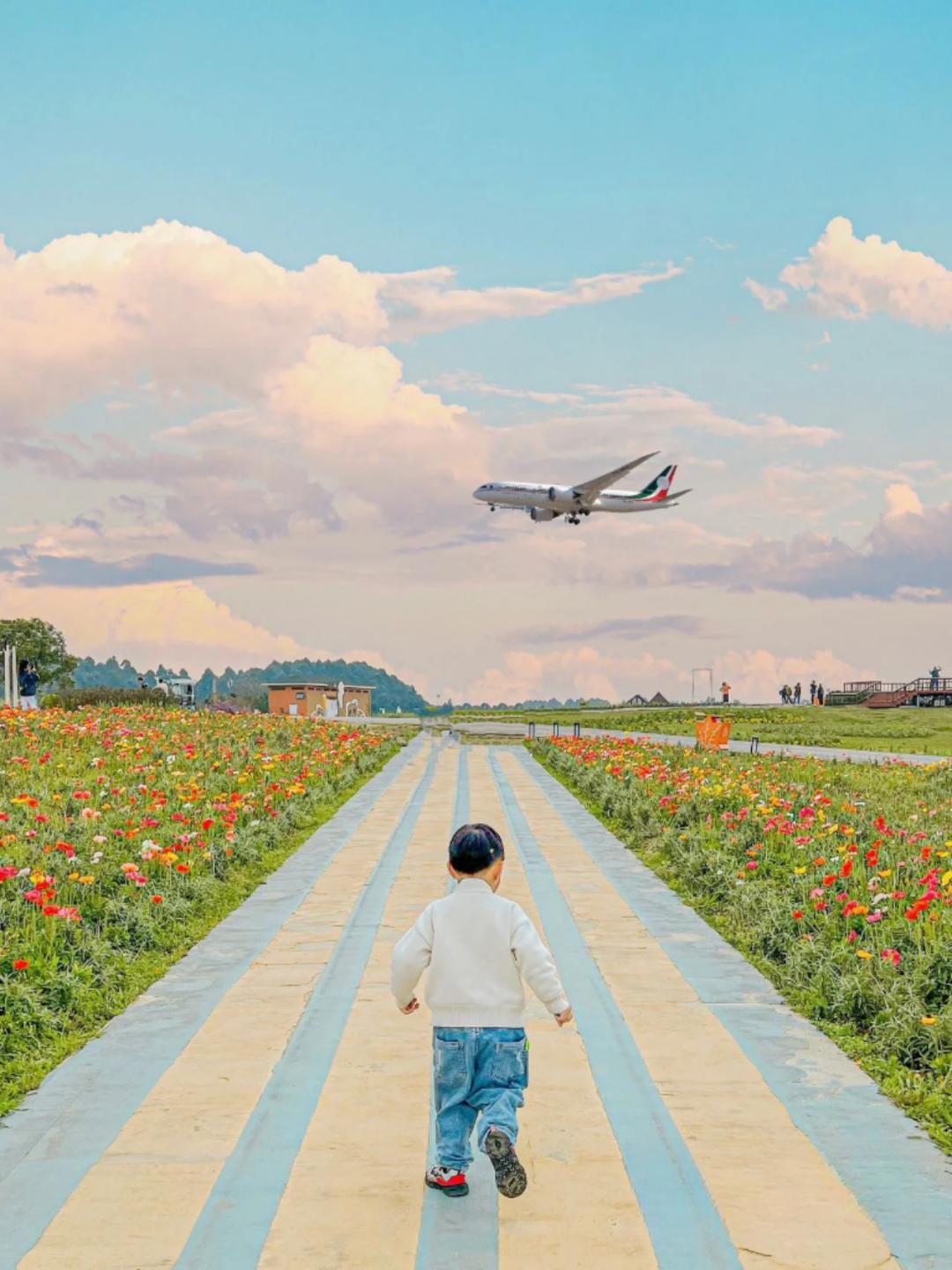 踏青露营地推荐,空港花田古朴森林露营地