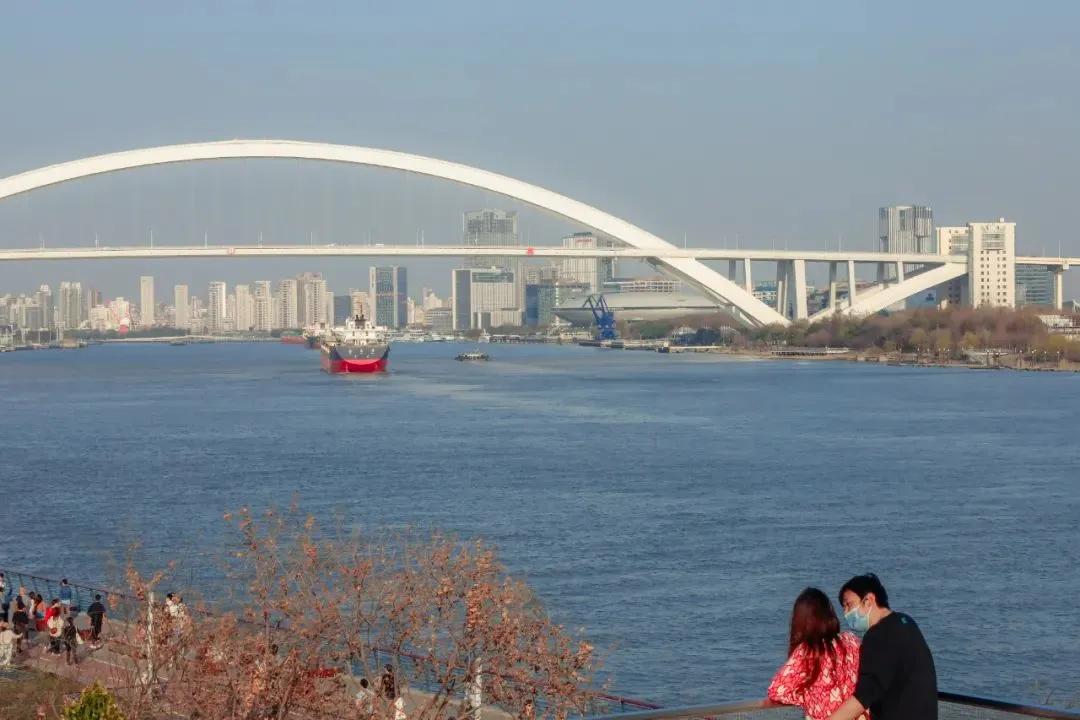 疫情下的城市夜晚上海,疫情下的魔都上海夜景
